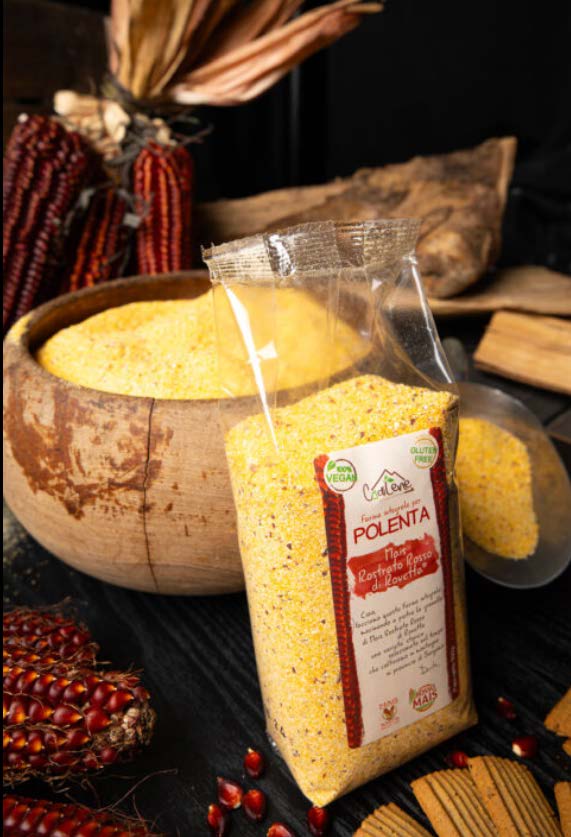 farina polenta di Mais Rostrato Rosso di Rovetta